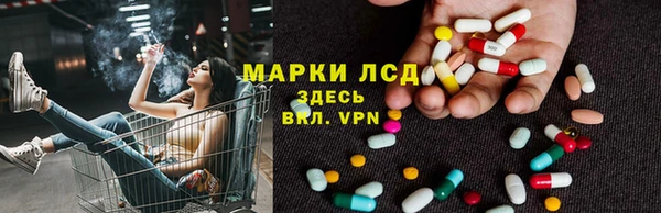 твердый Алзамай