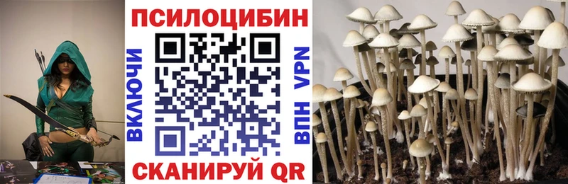 Галлюциногенные грибы Cubensis  гидра   Люберцы 